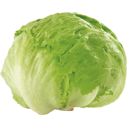 Salade - IJsbergsla