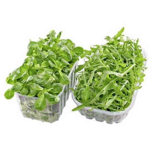 Salade - Veldsla
