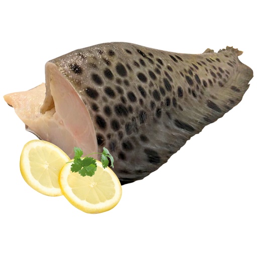 Seewolf (Anarhichadidae) zonder hoofd
