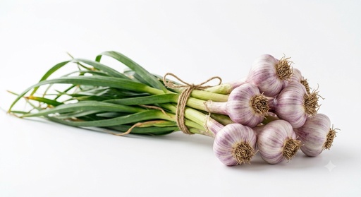 Verse knoflook bos