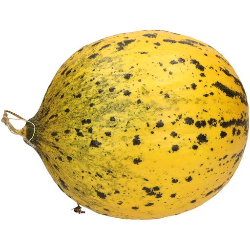 Дыня