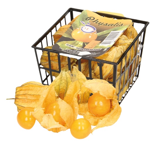 Physalis