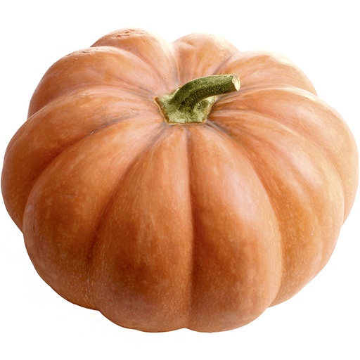 Muskaatpompoen