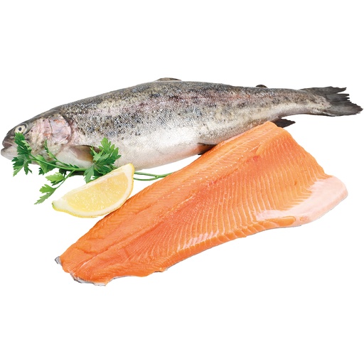 Verse zalmforel filet (Salmo trutta filet)