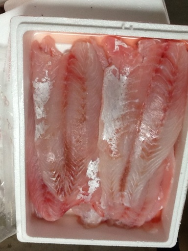 Verse baarsfilet