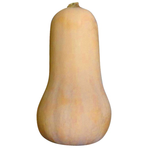 Flespompoen