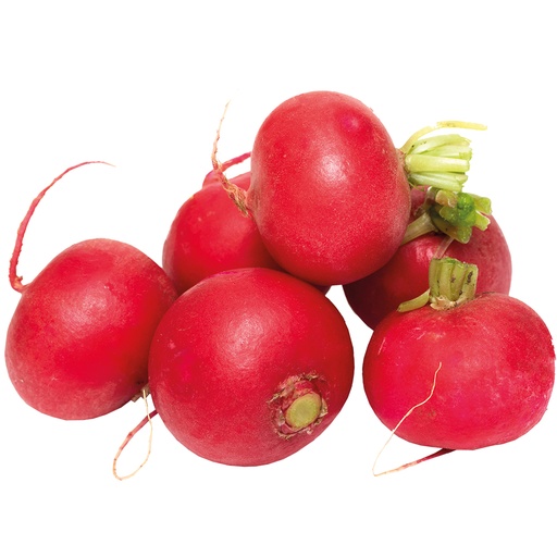 Редиска