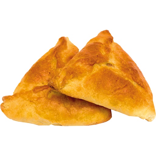 Cамса с мясом
