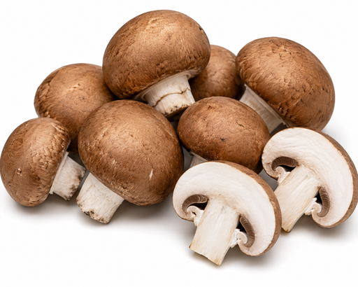 [2148] Champignons kastanje los